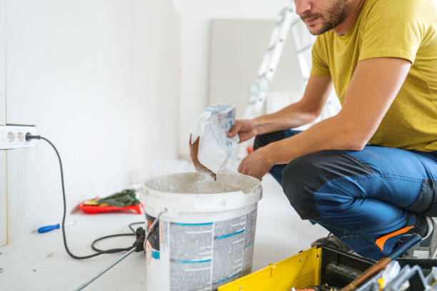 Best Mold Damage Restoration  in Haleiwa, HI