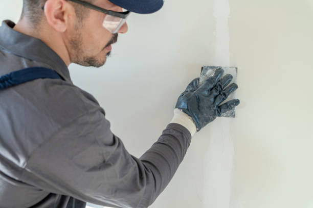 Best Biohazard Mold Removal  in Haleiwa, HI