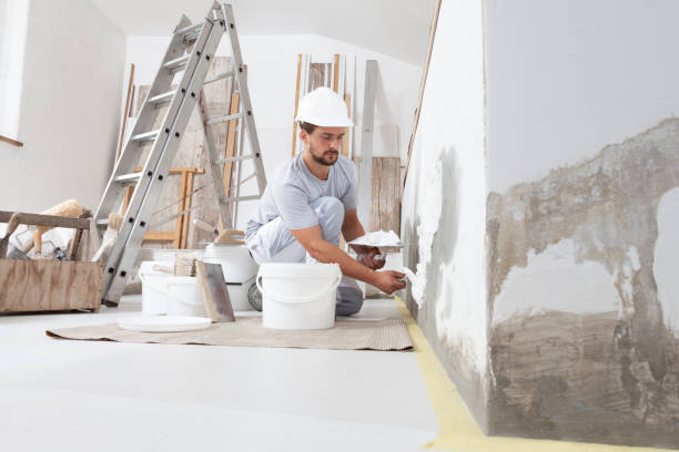 Best Mold Remediation for Healthcare Facilities  in Haleiwa, HI