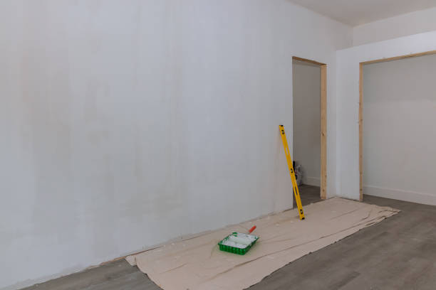 Best Attic Mold Removal  in Haleiwa, HI