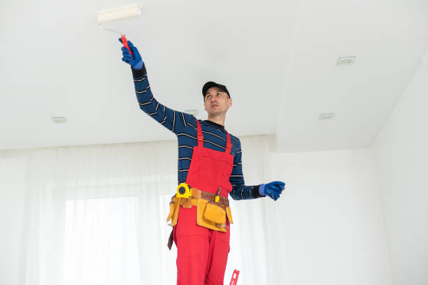 Best Mold Removal for HVAC Installations  in Haleiwa, HI