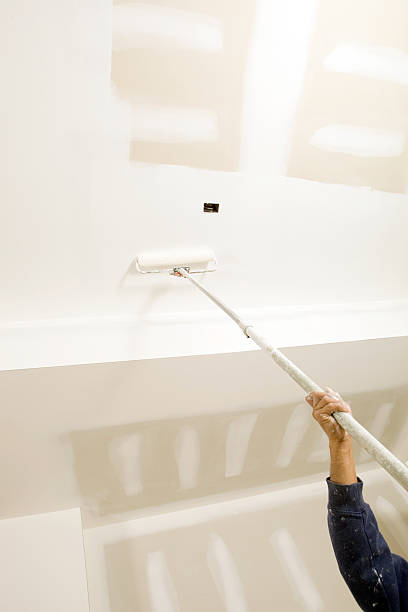  Haleiwa, HI Mold Removal Pros