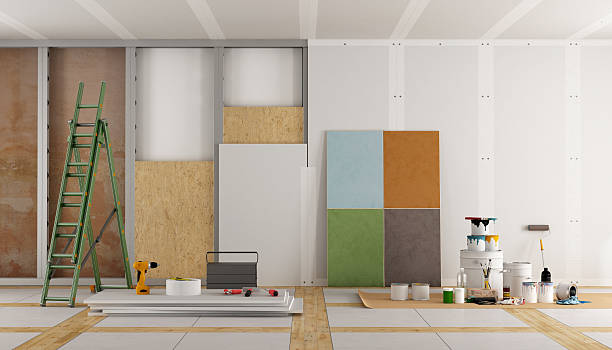 Best Attic Mold Removal  in Haleiwa, HI