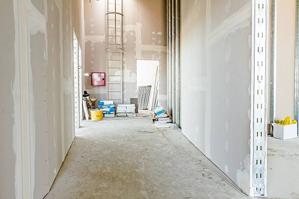 Reliable Haleiwa, HI Mold Removal Solutions