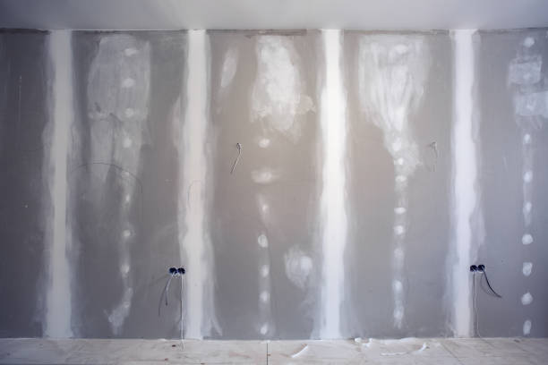 Best Mold Documentation for Insurance Claims  in Haleiwa, HI